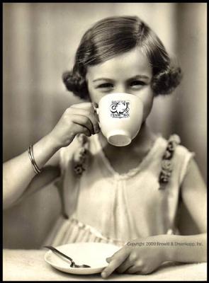 TEA ReX - Premium Teas - Tea Lover